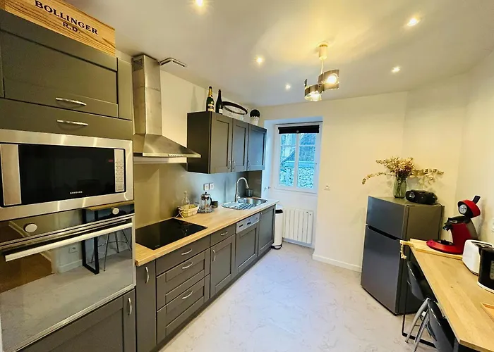 Le Millesime Carnot Cathedrale דירה ריימס